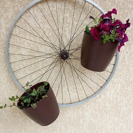 Dom wakacyjny Casa Dos Grilos