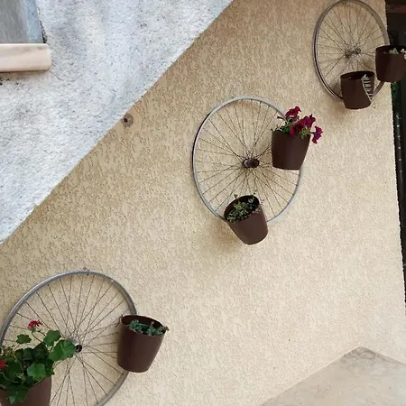 Casa Dos Grilos * פנקובה