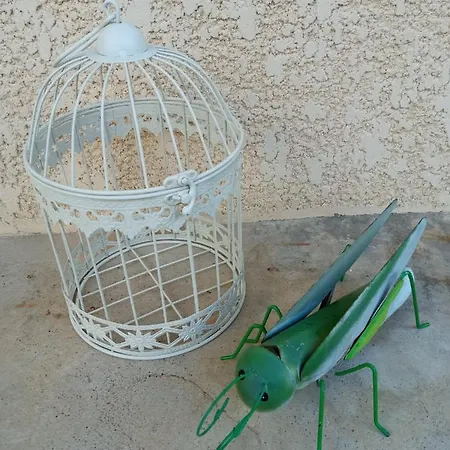 Casa Dos Grilos * פנקובה