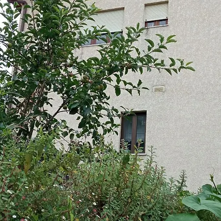 Casa Dos Grilos * פנקובה