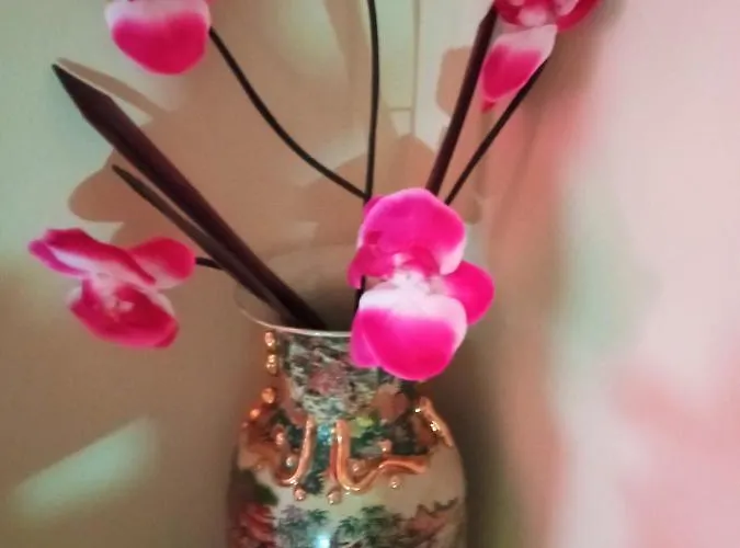 Casa Dos Grilos Holiday home Penacova