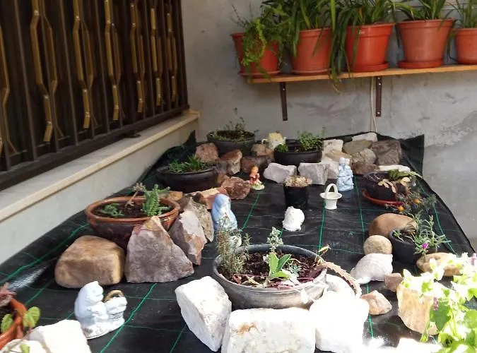 Сasa de vacaciones Casa Dos Grilos Penacova