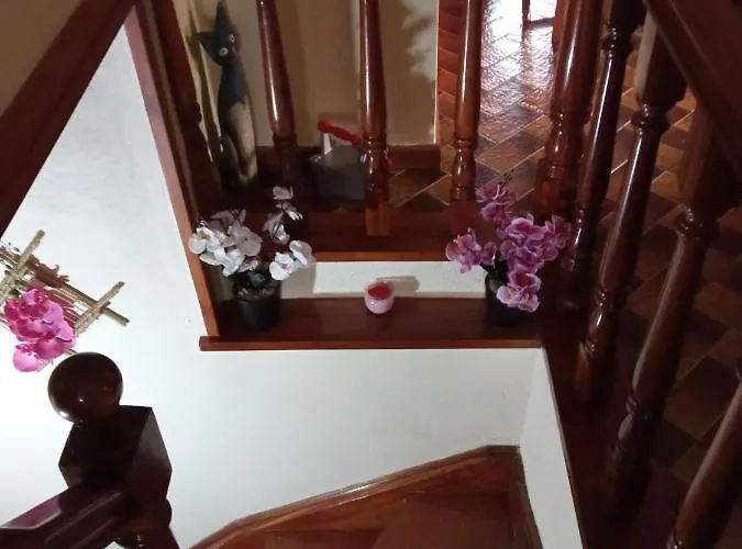 Casa Dos Grilos Vakantiehuis Penacova