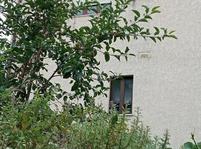 Casa Dos Grilos * Penacova